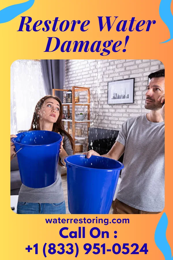 water restoration Apex Sewage Cleanup Team Garden City