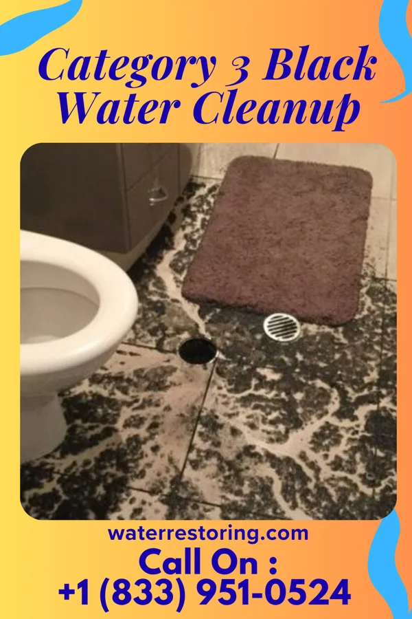 Category 3 Black Water Cleanup in Garden City, KS